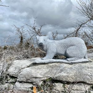 Limestone Badger